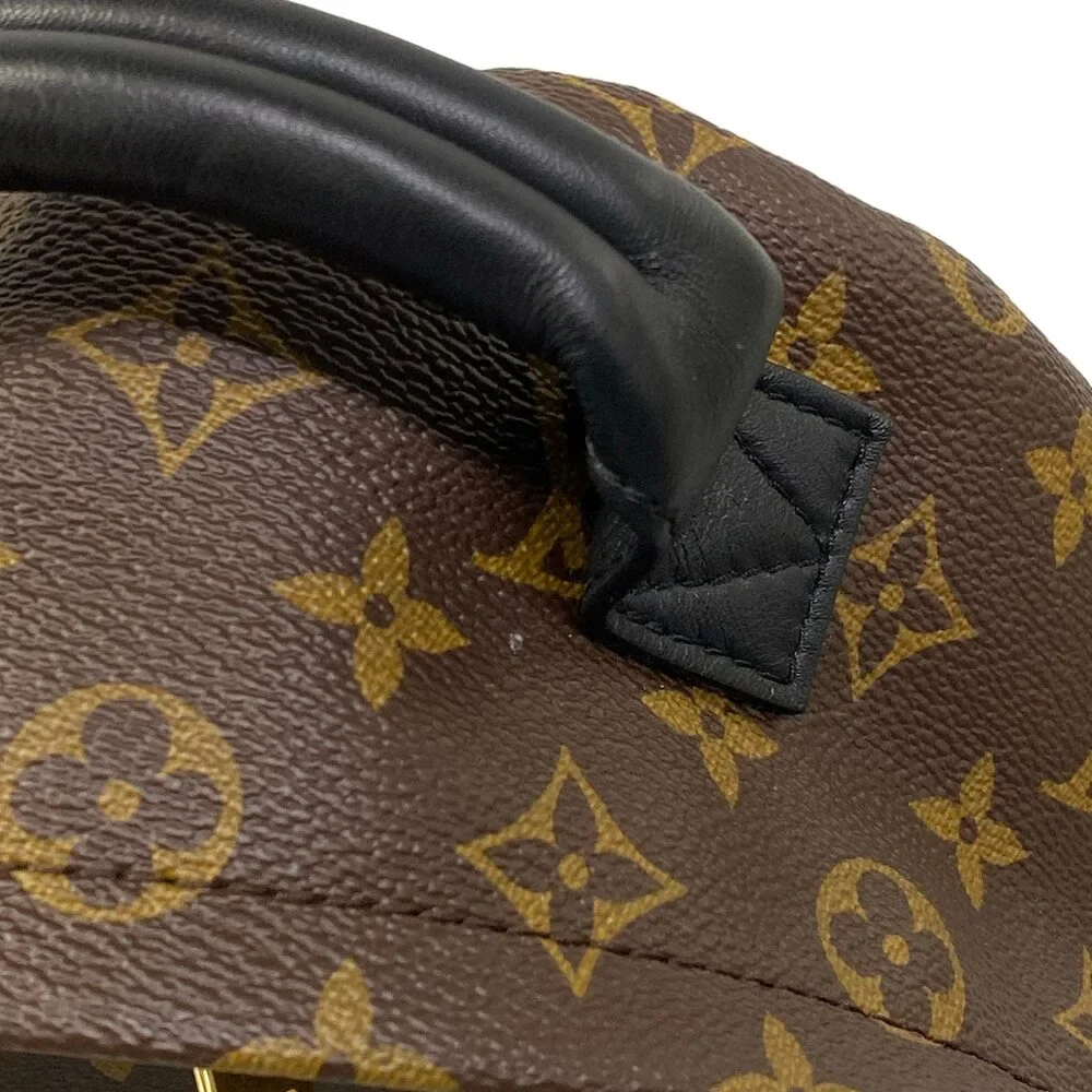 Louis Vuitton Palm Springs Backpack PM Monogram Backpack M41560